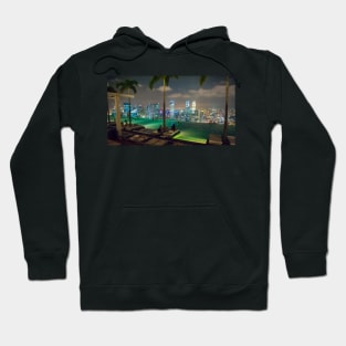 The View from the Skypark Hoodie